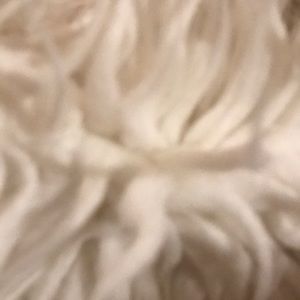 Meet your Posher, Gwen